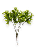 EUCALYPTUS GRASS BUSH X7