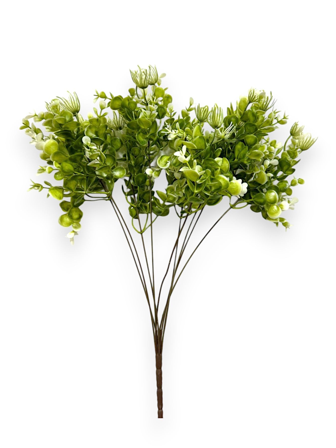 EUCALYPTUS GRASS BUSH X7