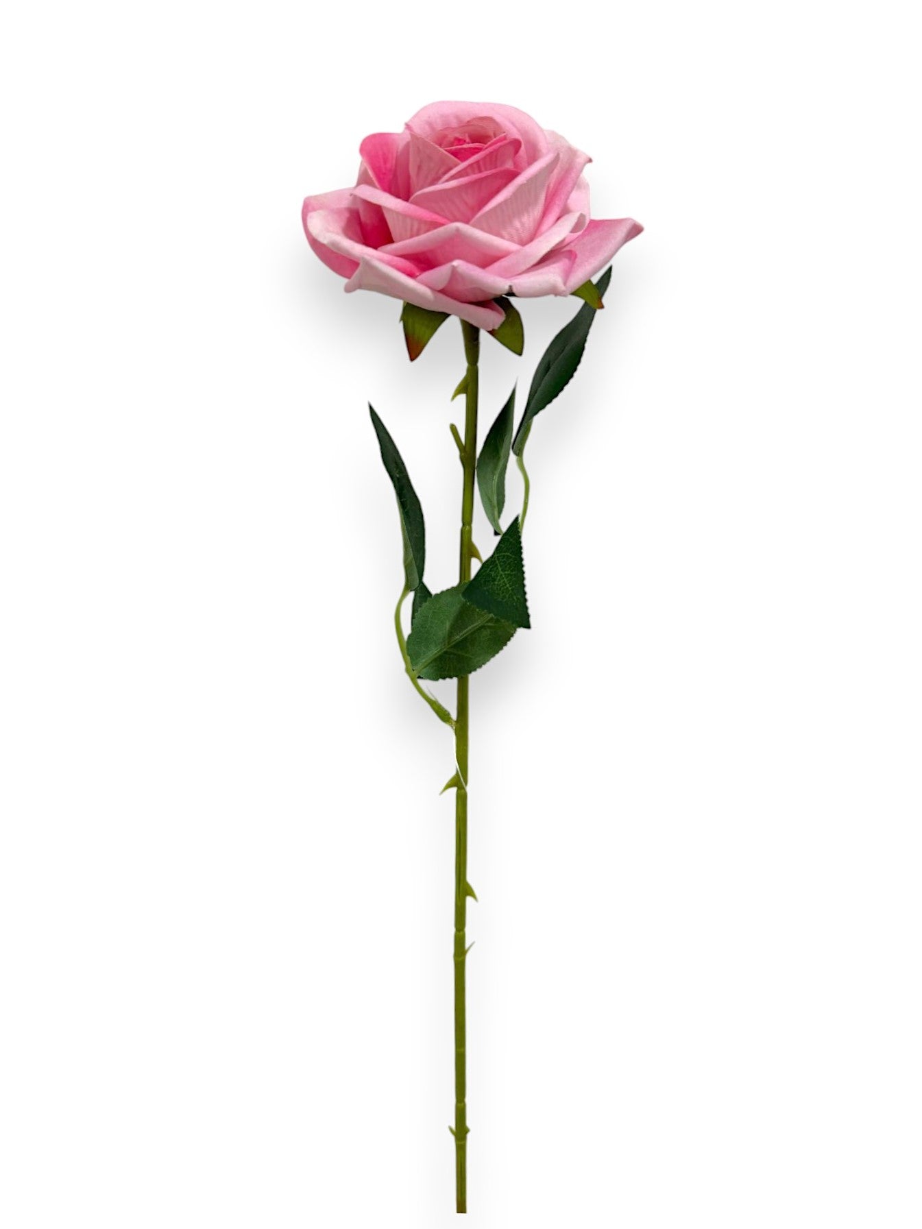 VELVET ROSE