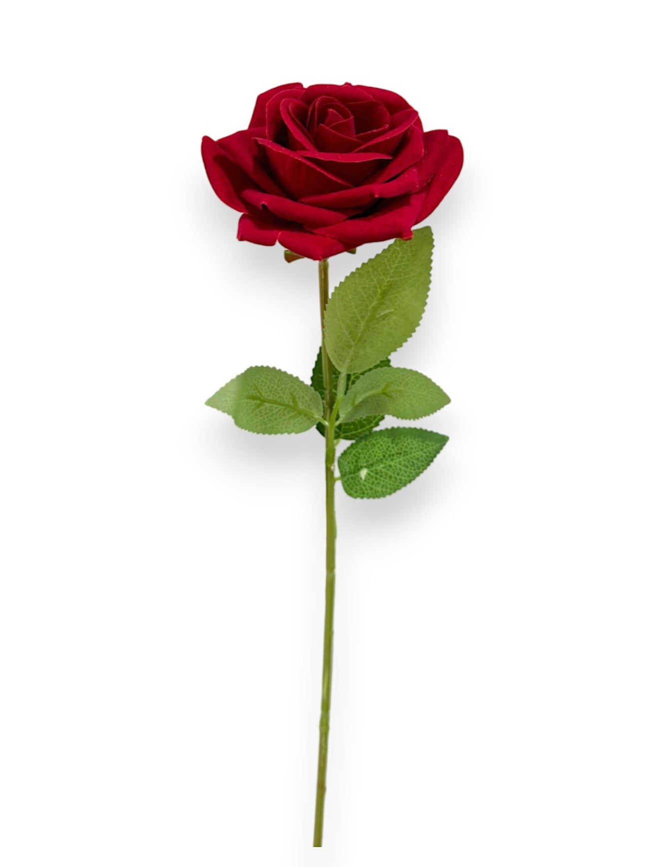 VELVET ROSE