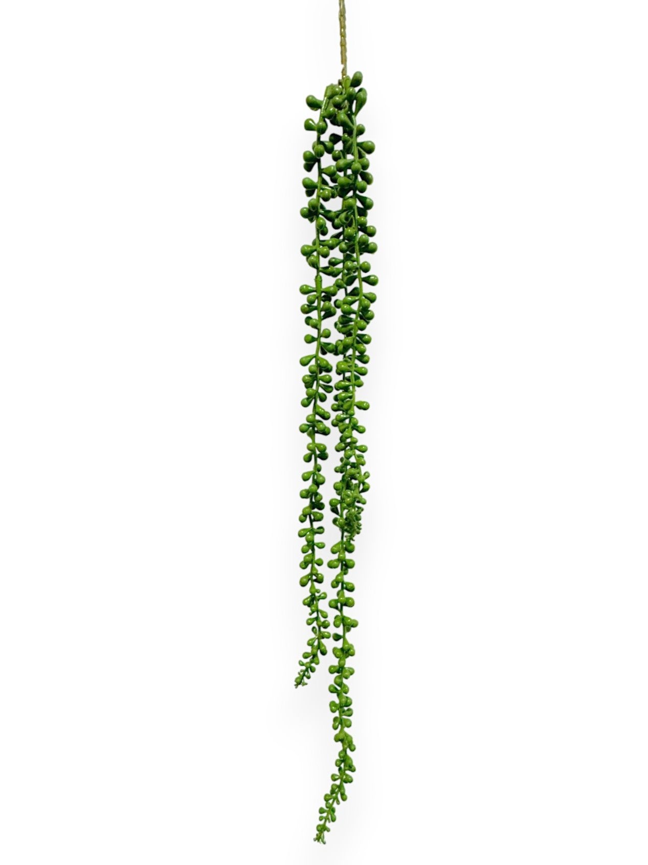 HANGING SEDUM SPRAY X3