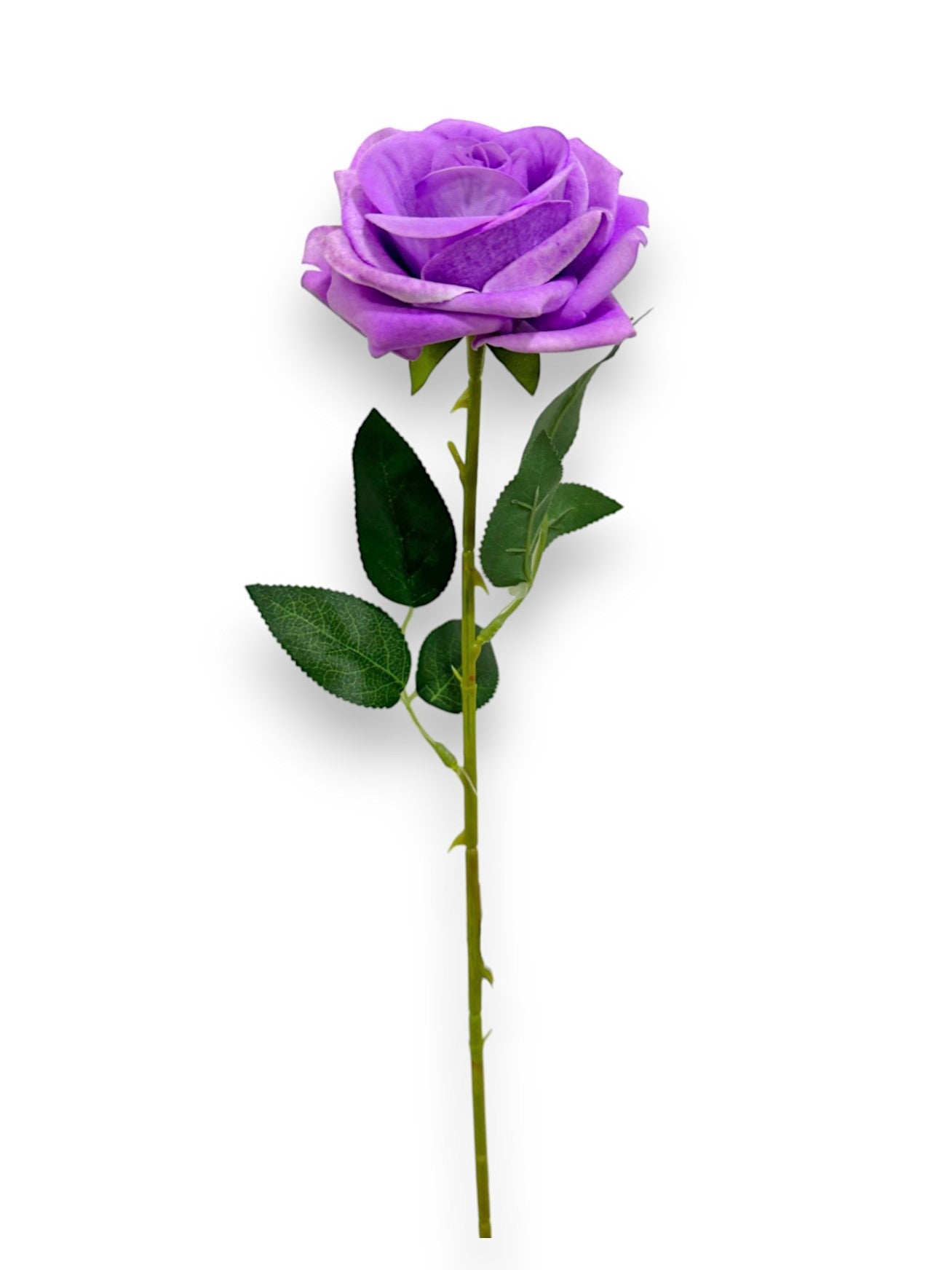 VELVET ROSE