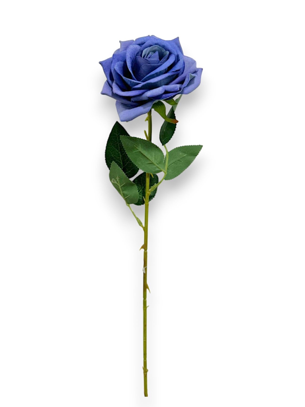 VELVET ROSE