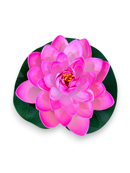 FLOATING WATER LILY