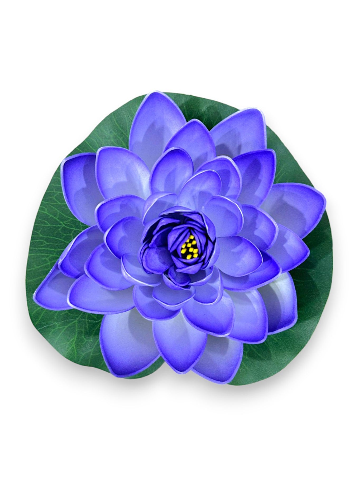 FLOATING WATER LILY