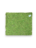 MOSS MAT 16X18 W/GLUE