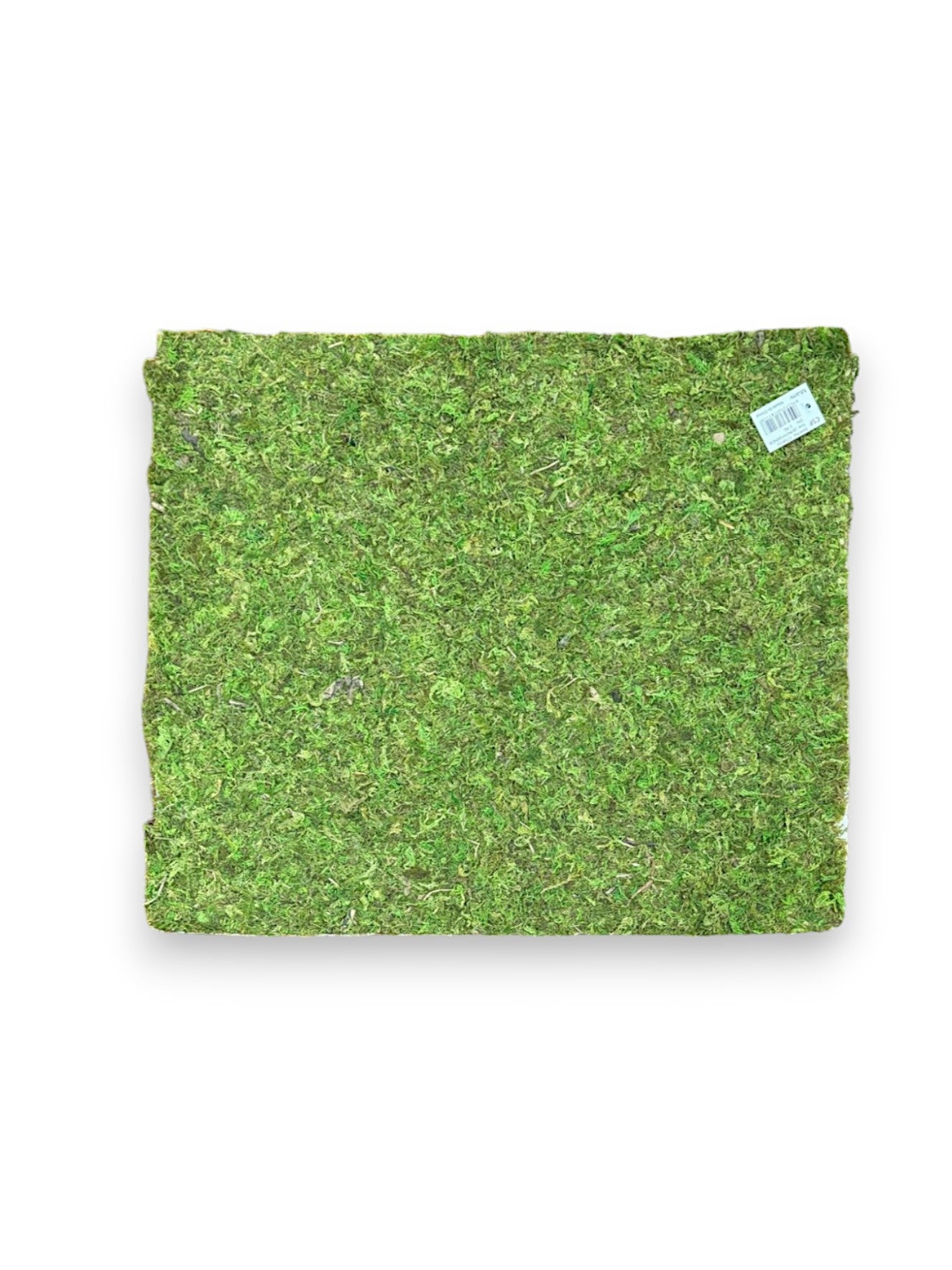 MOSS MAT 16X18 W/GLUE
