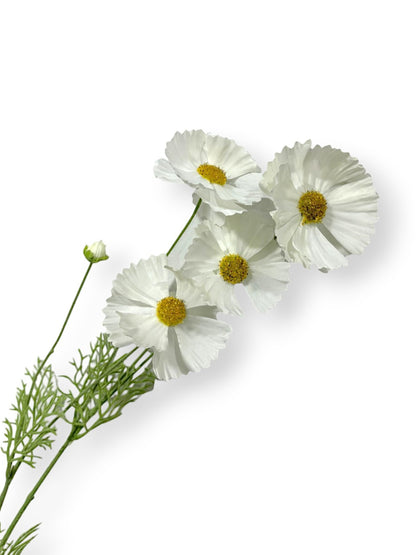 COSMOS SPRAY 36"
