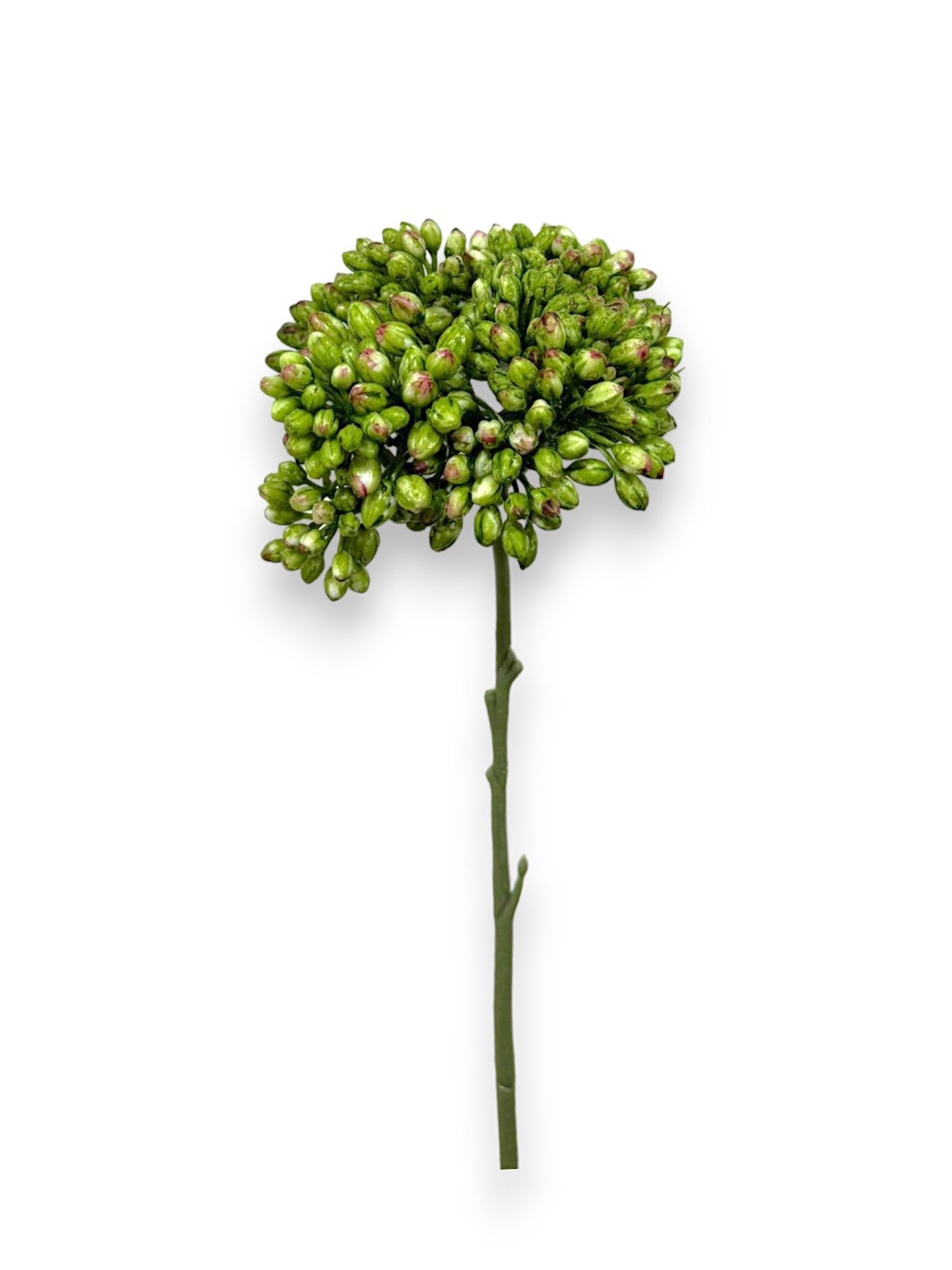 SEDUM SPRAY 12.5"