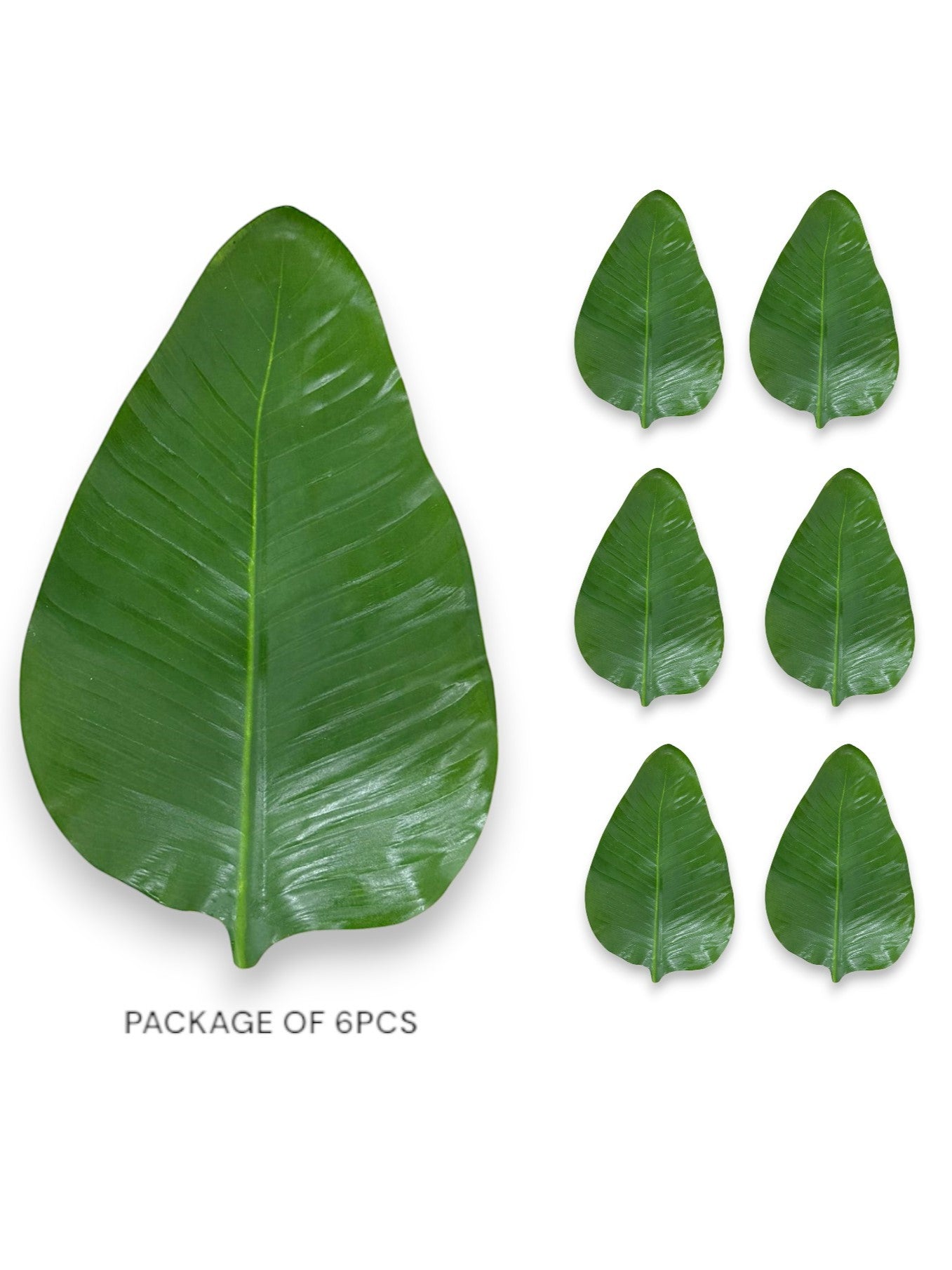 BIRD OF PARADISE LEAF FLAT 16" 6PCS