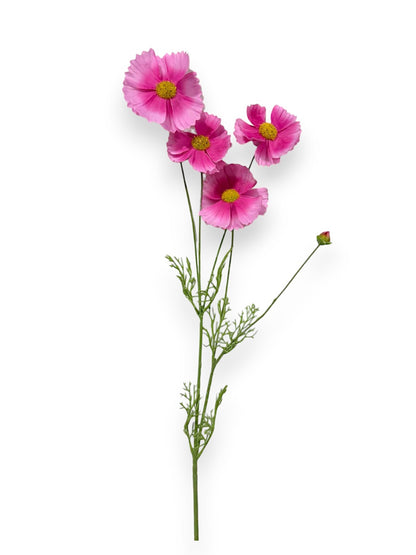 COSMOS SPRAY 36"
