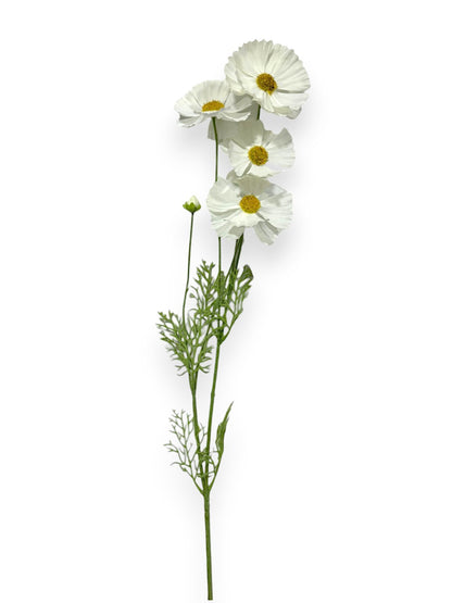 COSMOS SPRAY 36"