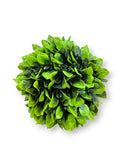 CABBAGE BALL