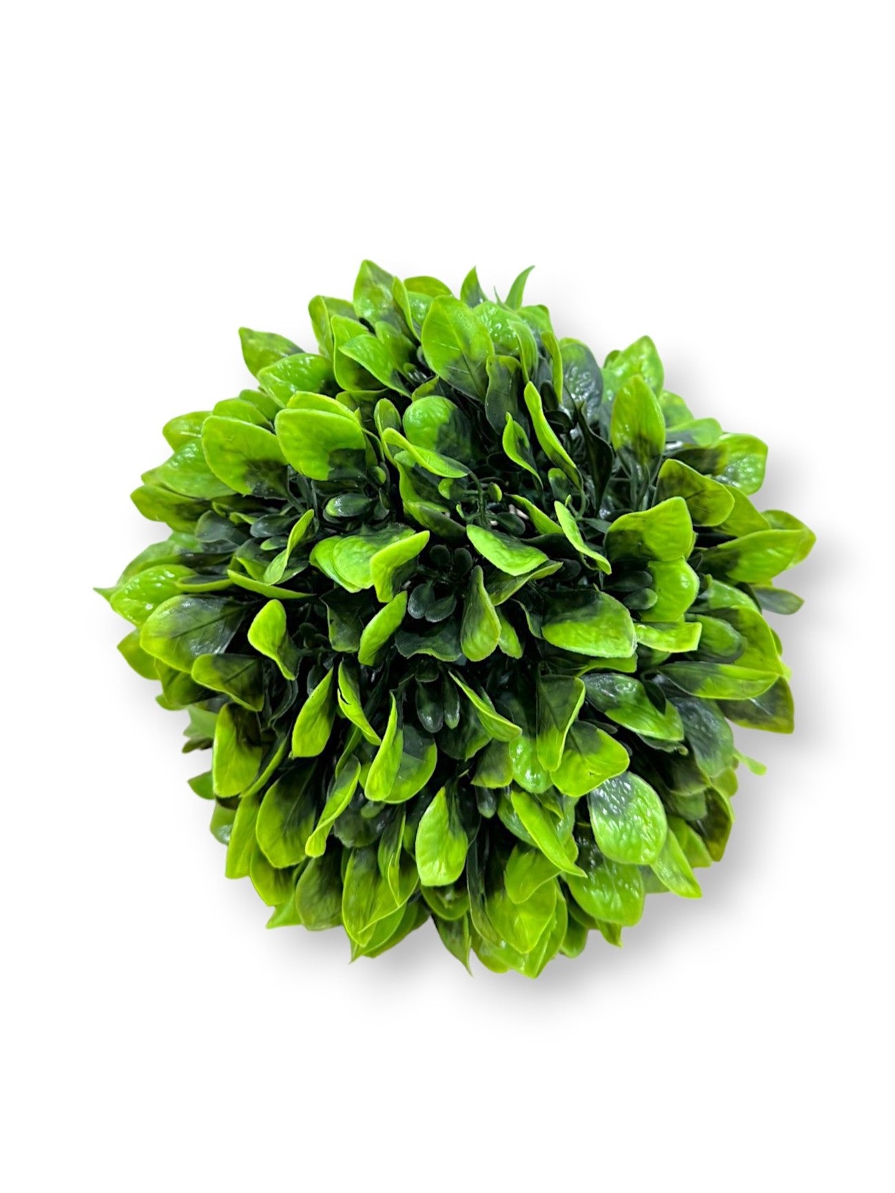 CABBAGE BALL