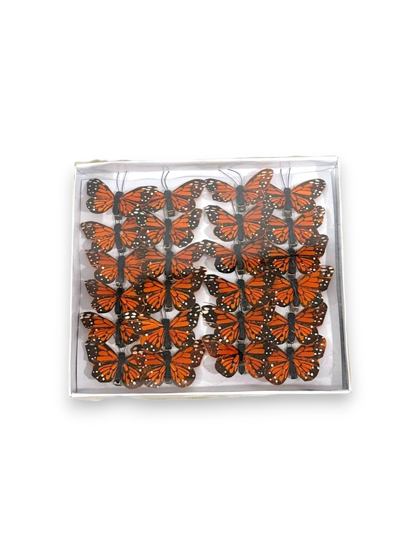 BUTTERFLIES 24/BX 2.5"