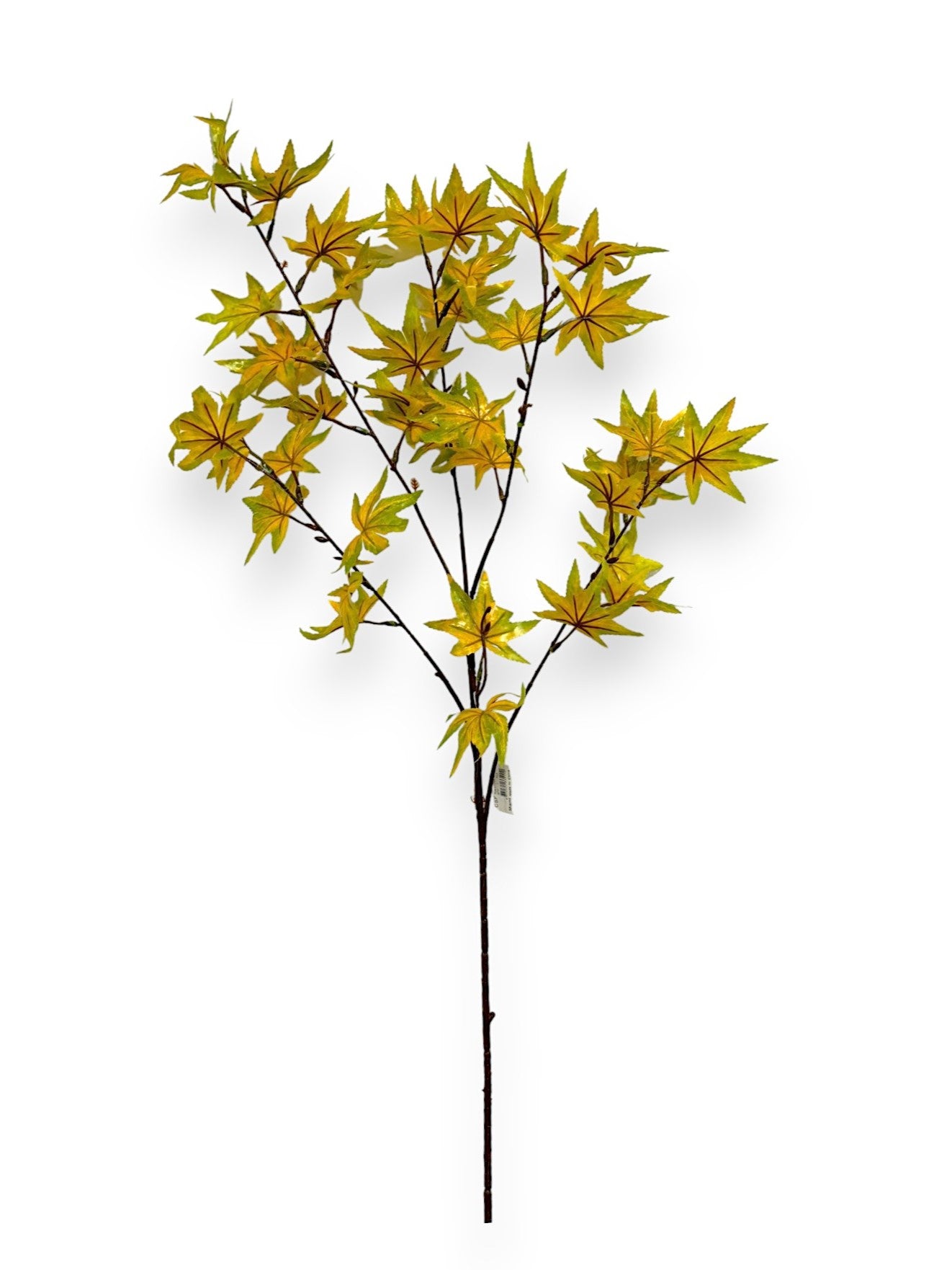 MAPLE LEAF 35"