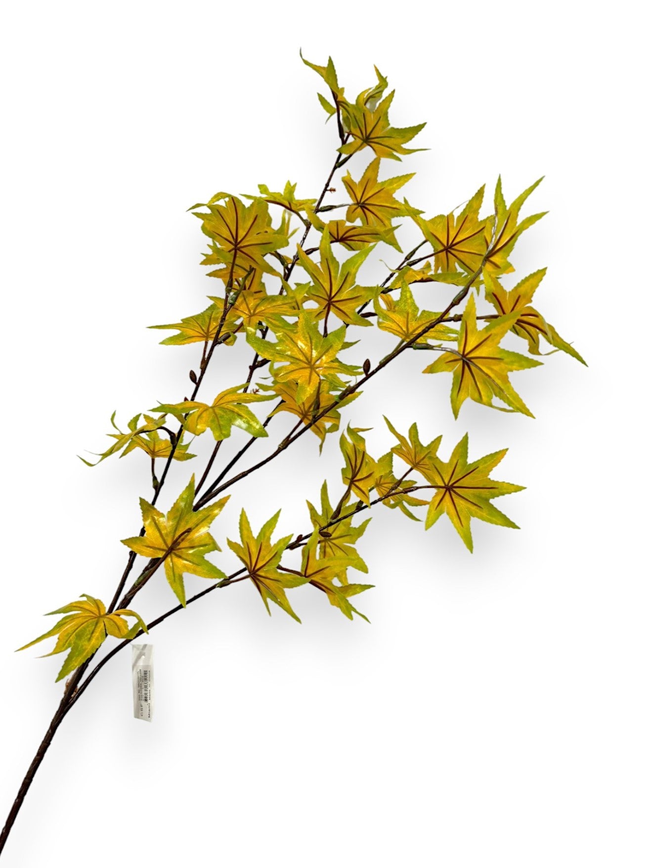 MAPLE LEAF 35"