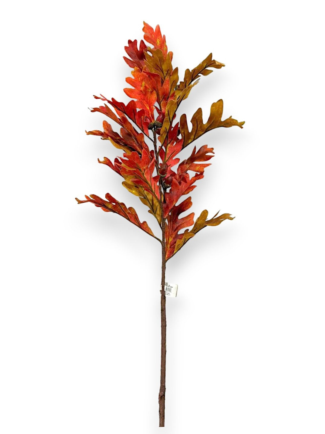 OAK LEAVES & FRUITS SPR 43"