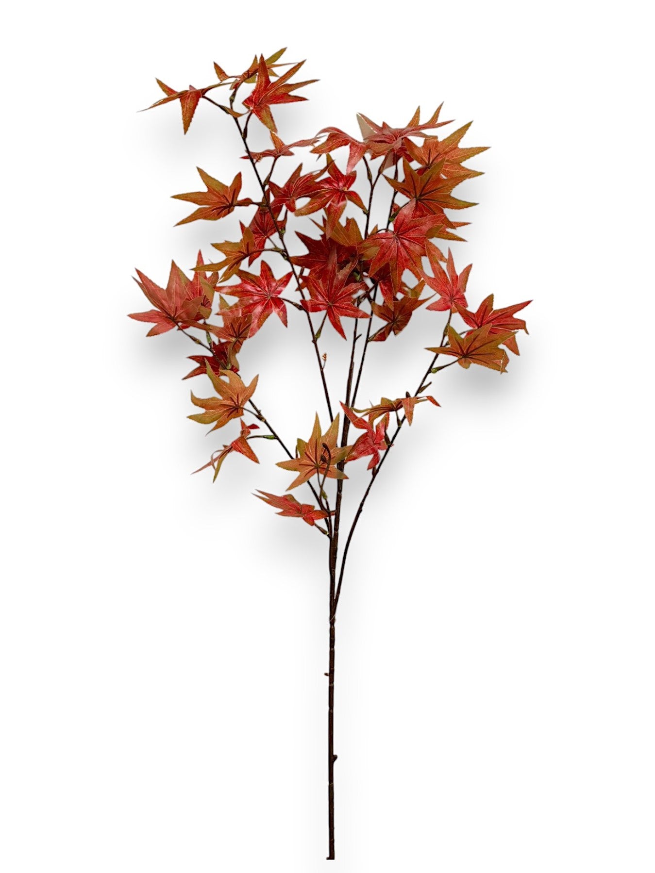 MAPLE LEAF 35"