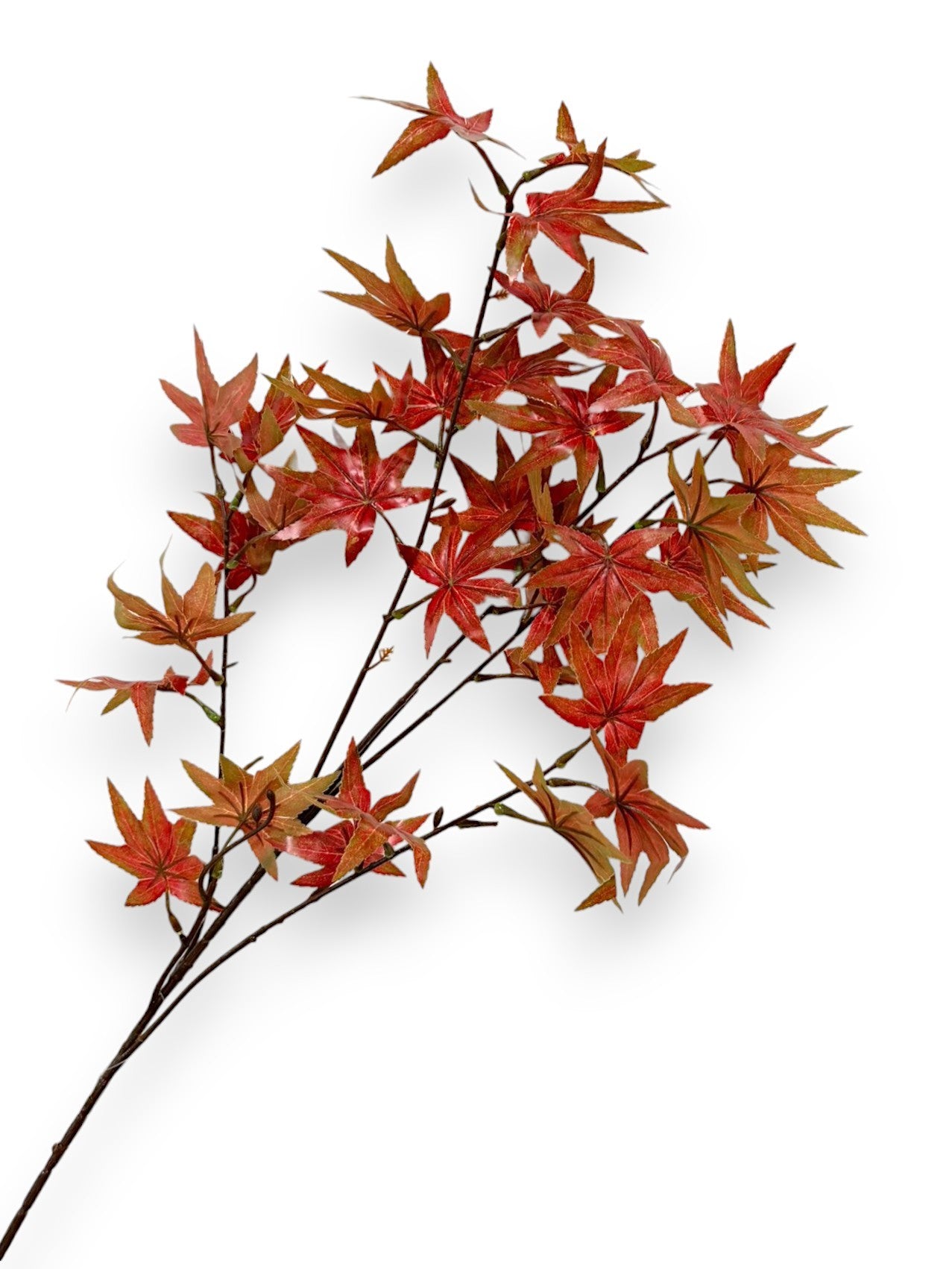 MAPLE LEAF 35"