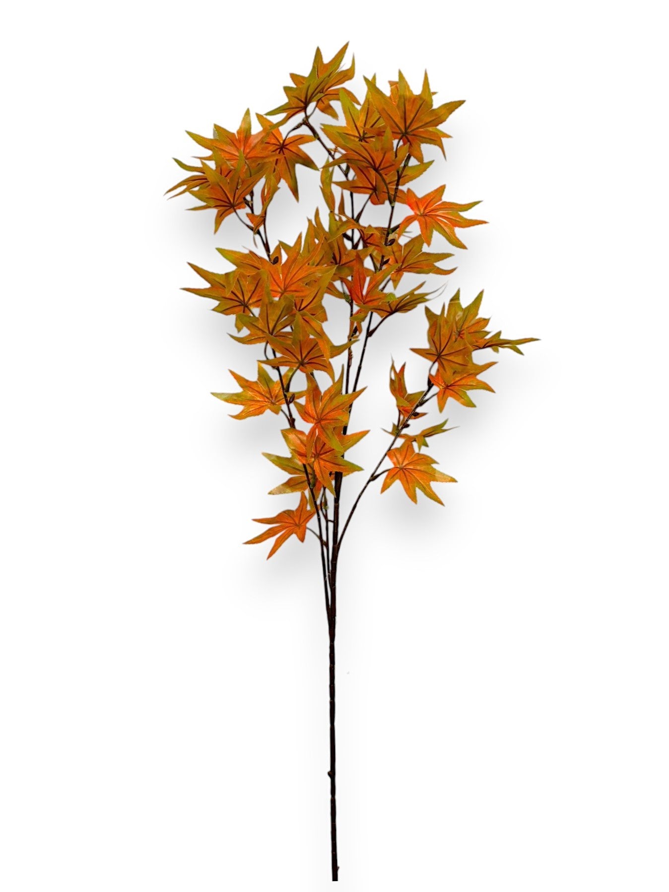 MAPLE LEAF 35"