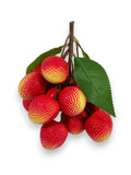 LYCHEE BUNCH 7"