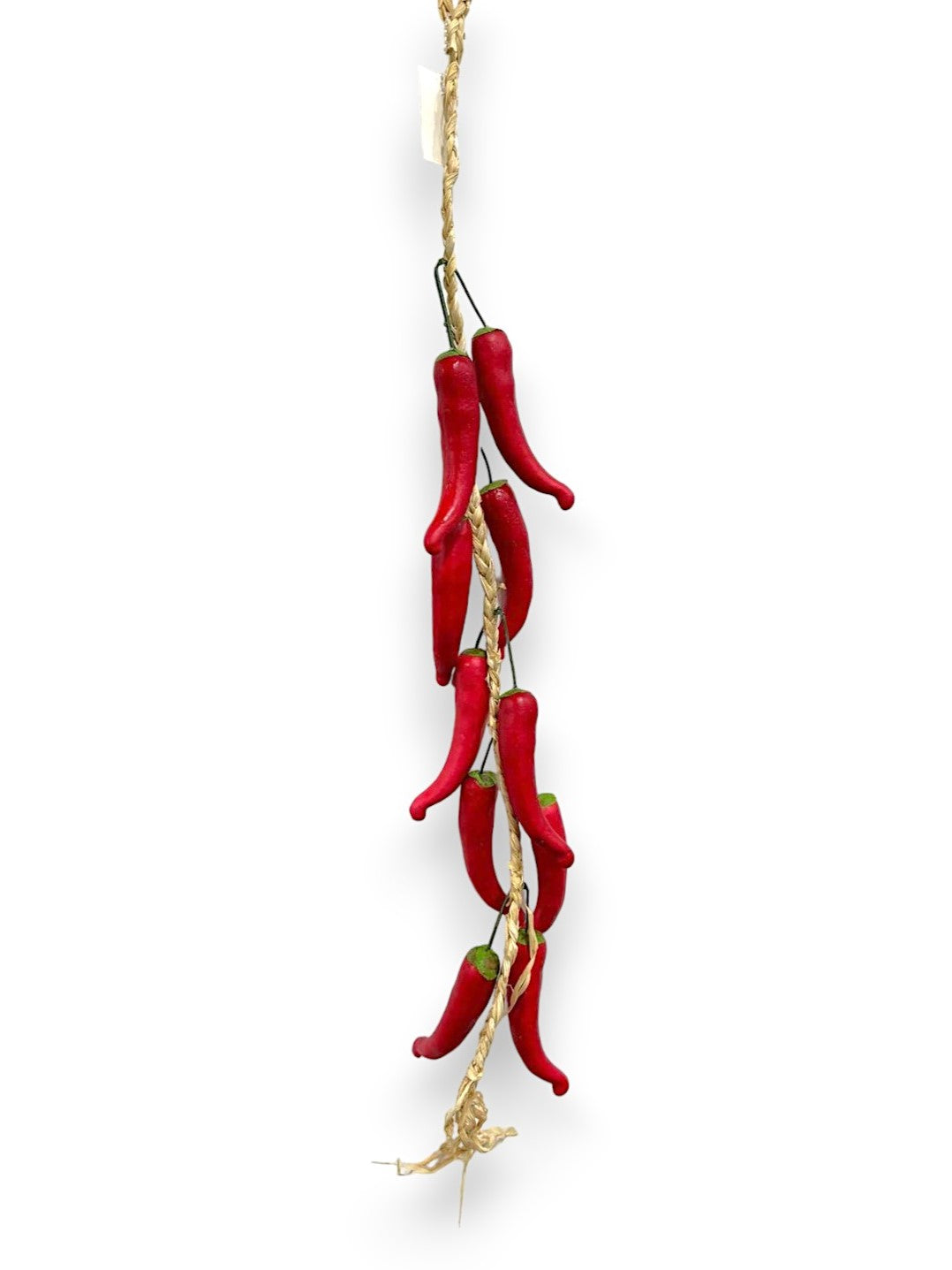 CHILI PEPPER ON ROPE 10XROPE