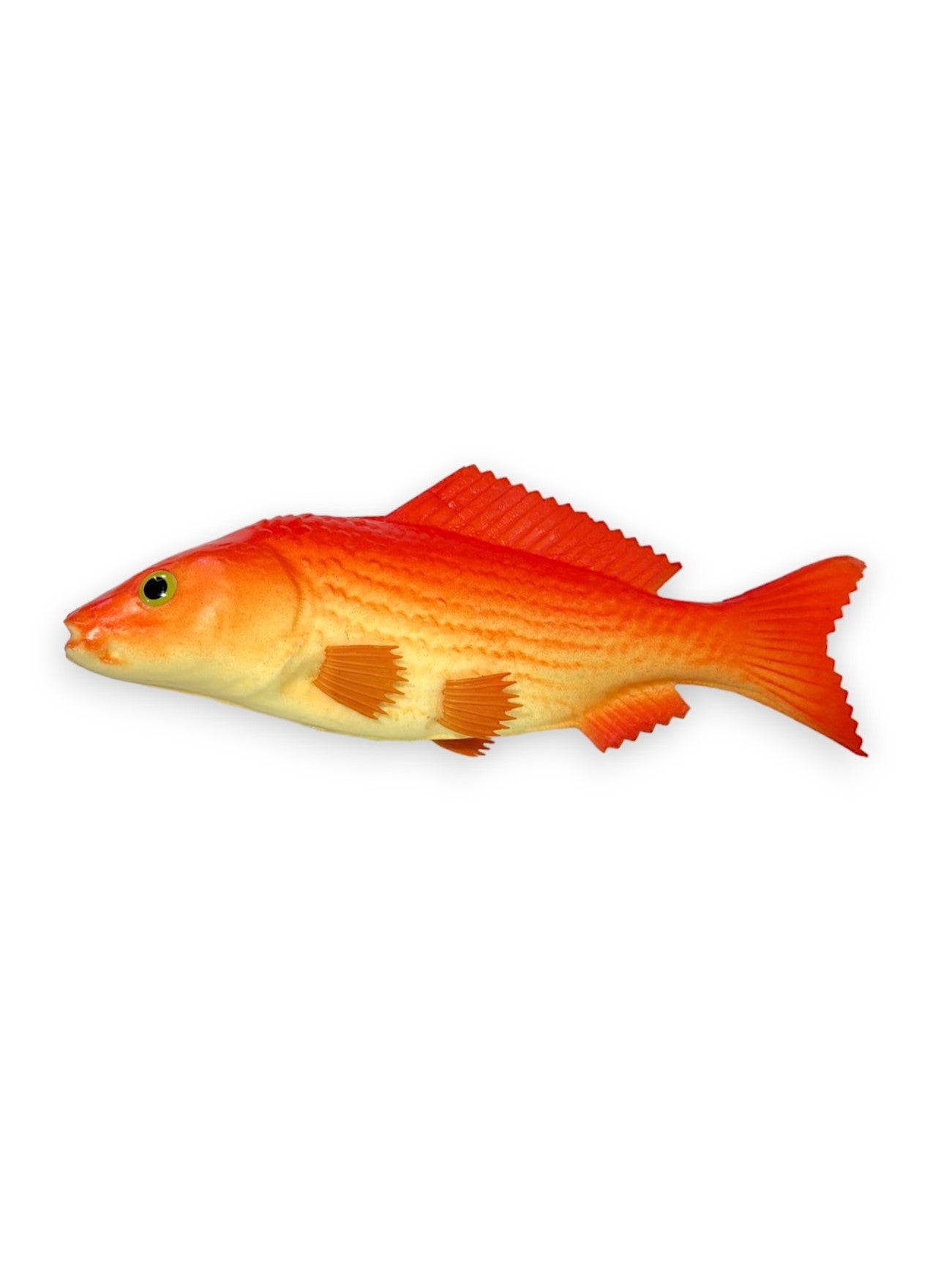 FISH OR 9"
