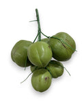 FAKE COCONUTS
