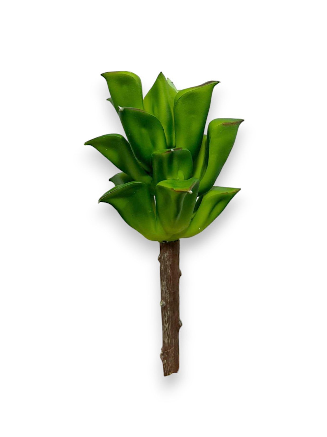 SUCCULENT PICK 8"