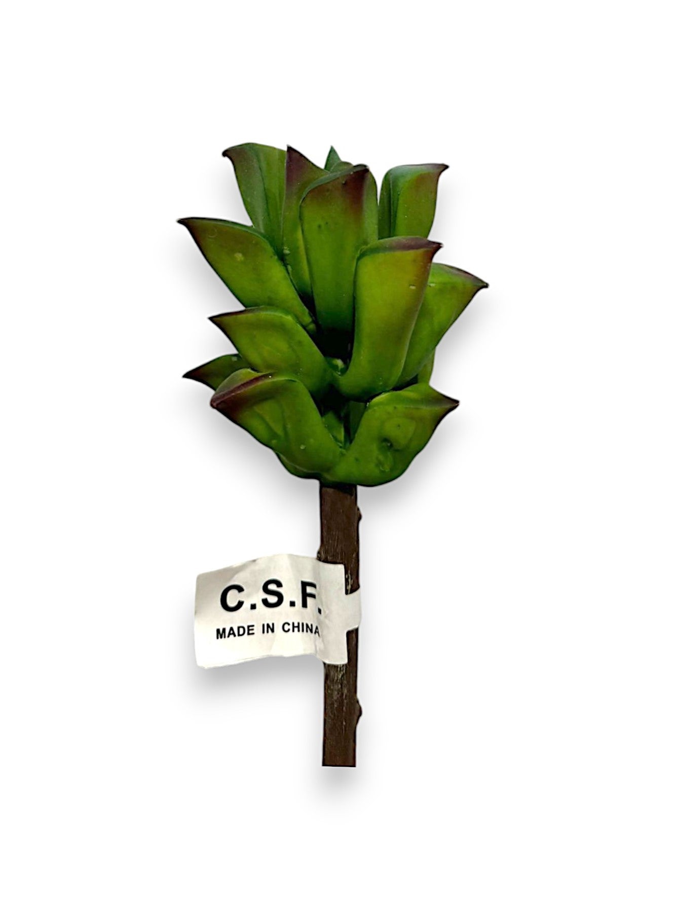 SUCCULENT PICK 8"
