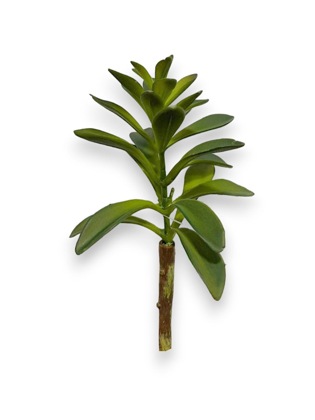 SUCCULENT PICK 9"