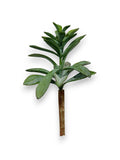 SUCCULENT PICK 9"