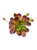 SUCCULENT PICK 7"