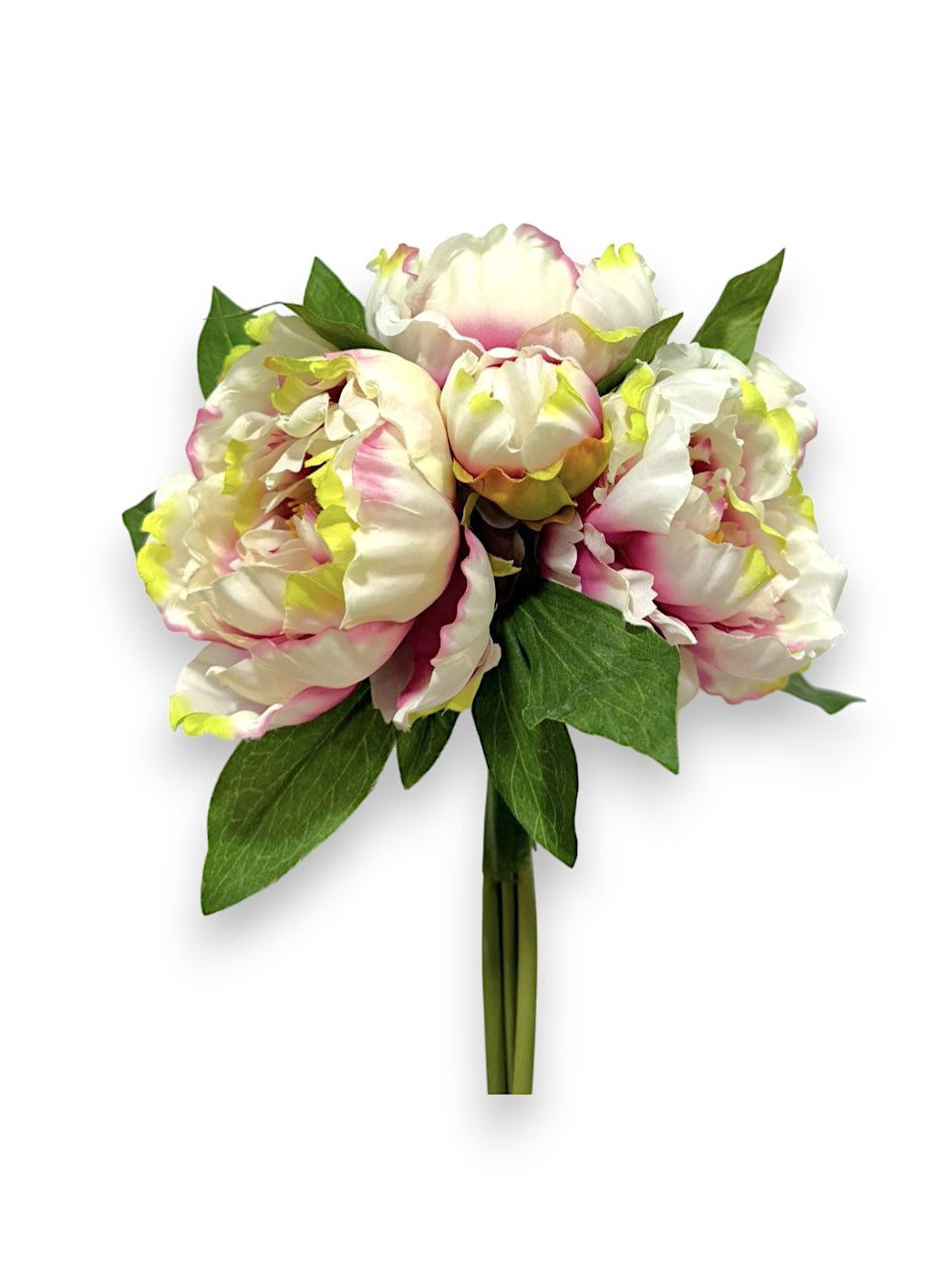 PEONY BUNDLE X5 & 2 BUDS