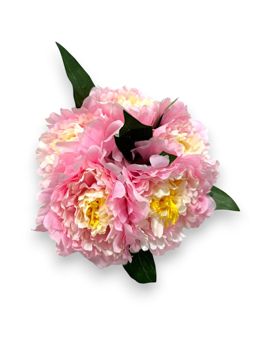 PEONY BUNDLE X9