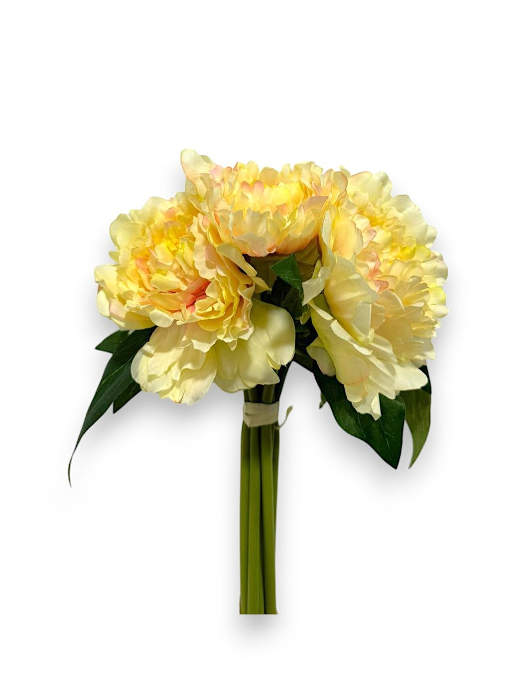 PEONY BUNDLE X9
