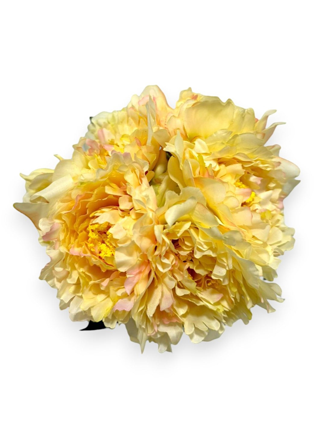 PEONY BUNDLE X9
