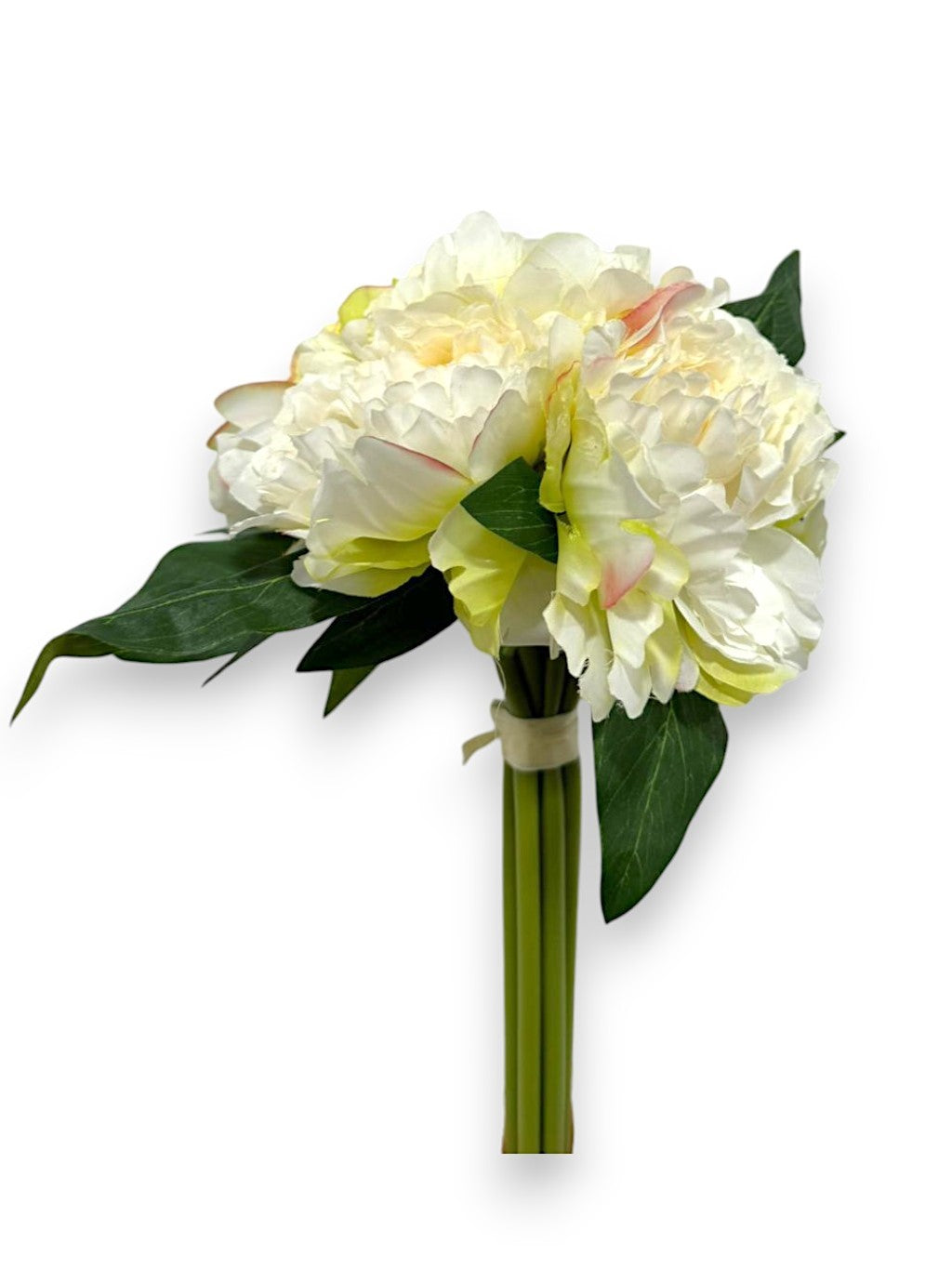 PEONY BUNDLE X9