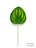 GREEN LEAF BUNDLE 12PCS