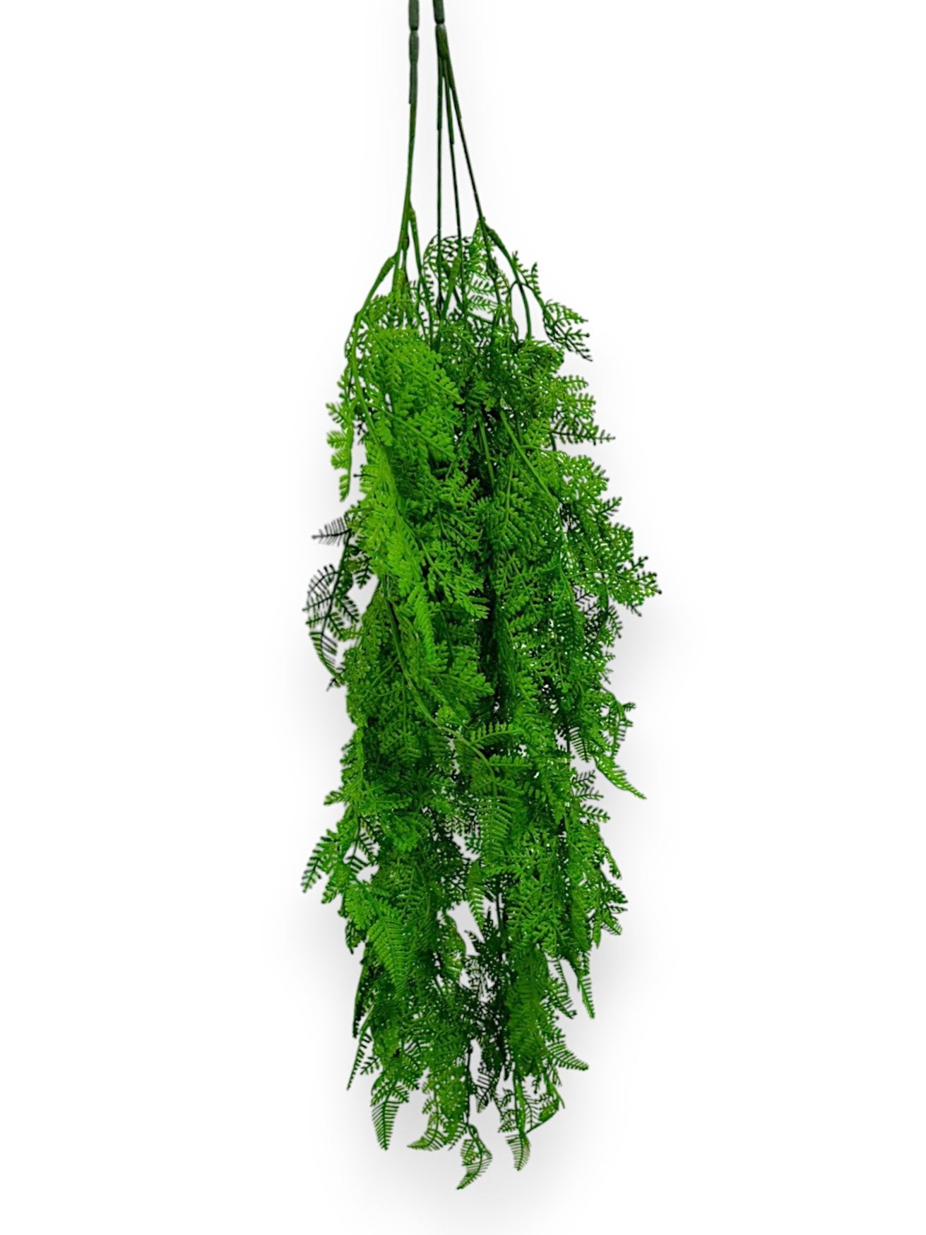 HANGING FERN 2/PKG