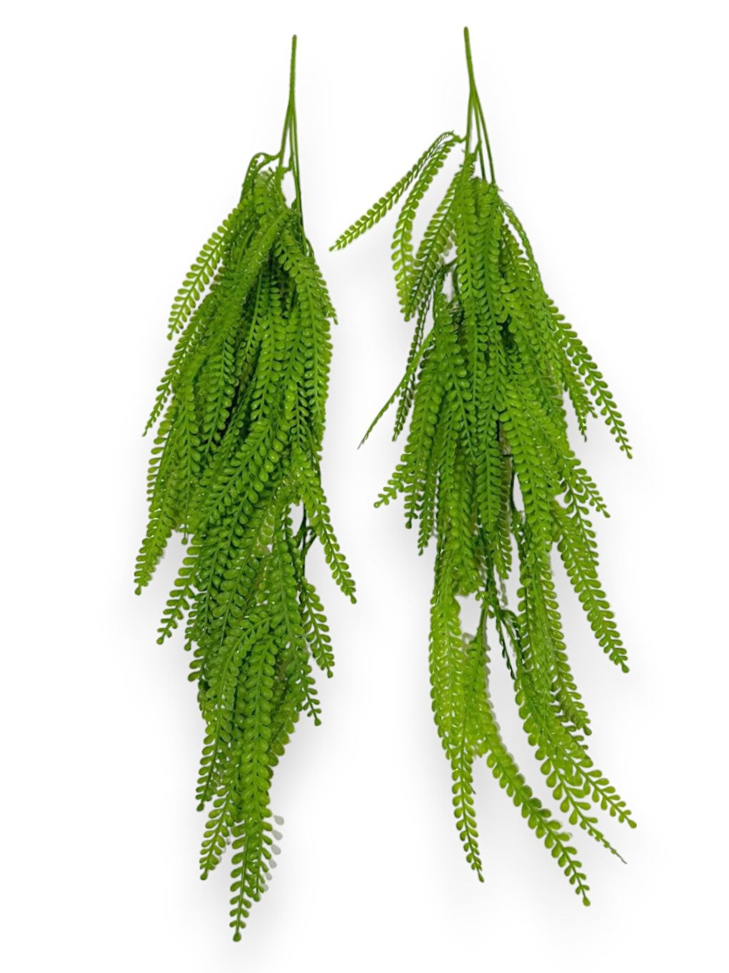 FERN HANGING PLANT 2PCS