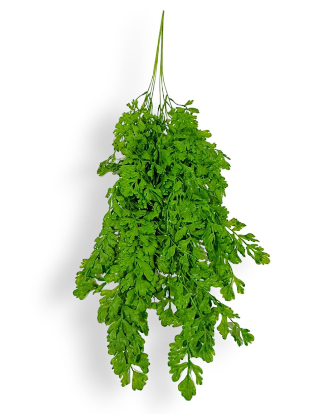 HANGING MOSS 2/PKG