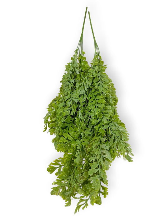 HANGING FERN 2PCS