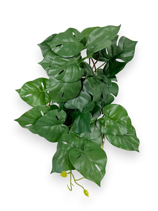 MONSTERA LEAF BH 29LVS