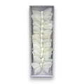 BUTTERFLY 3" WH 1DZ