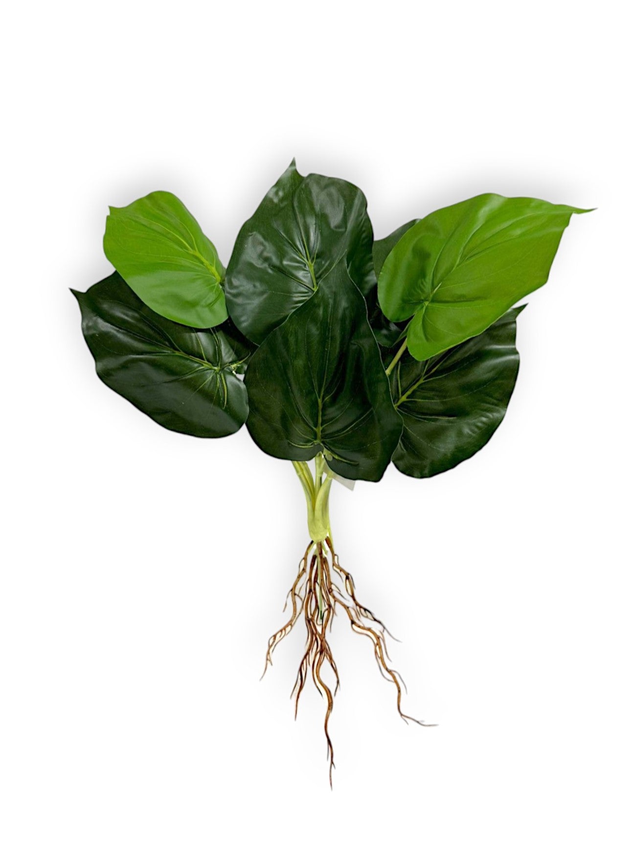Fake Flowers With Roots