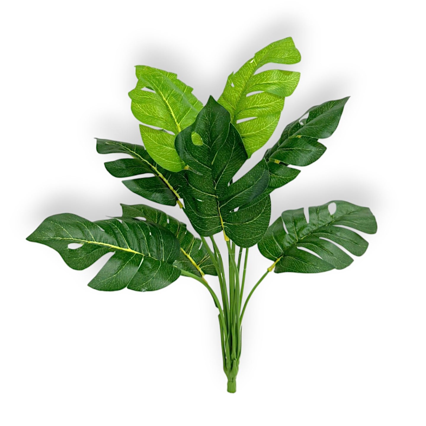 MONSTERA LEAF BUSH