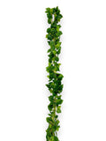 POTHOS GARLAND 2PCS