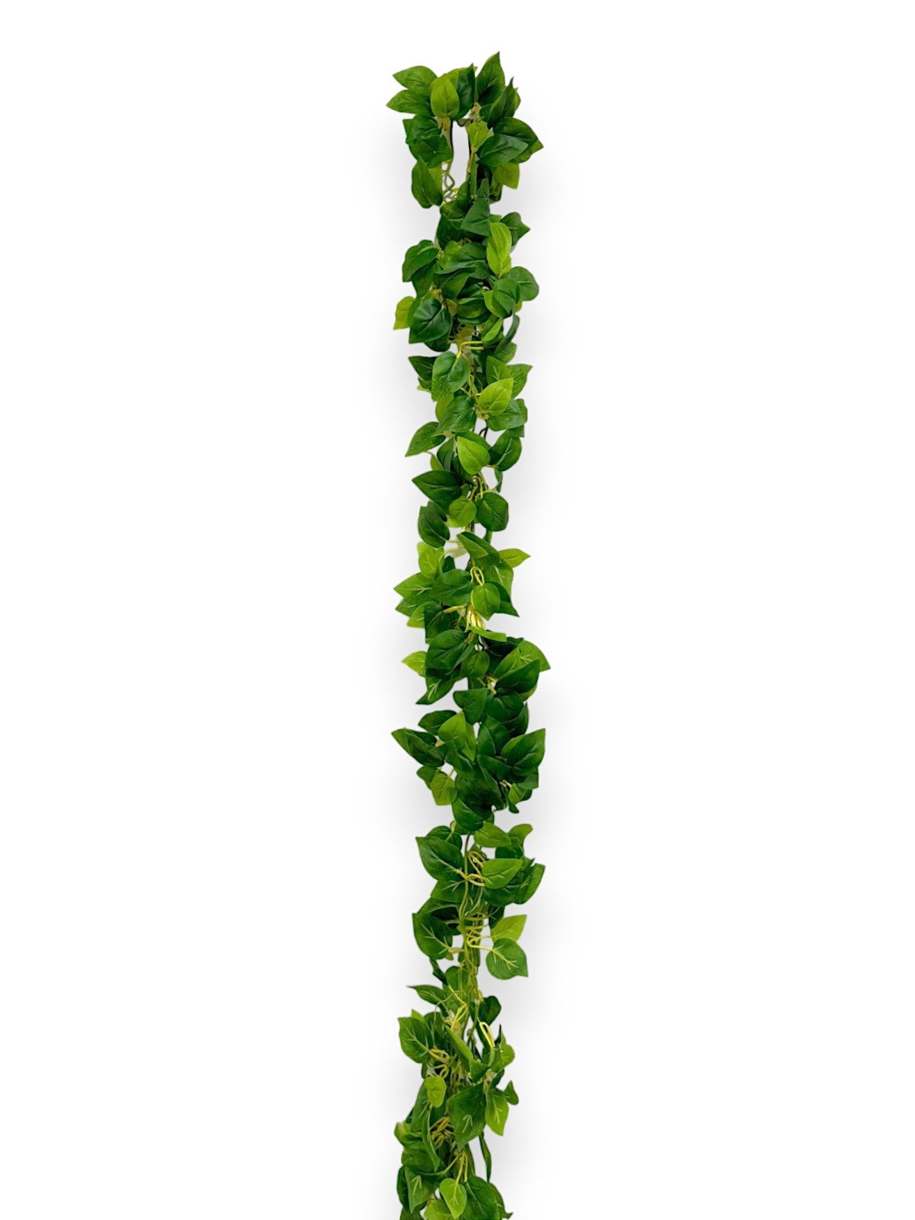 POTHOS GARLAND 2PCS